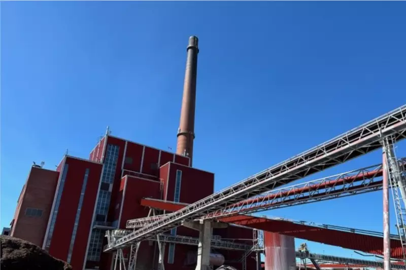 Cindrigo Powers Up: Renewable Energy Firm Makes Landmark Debut on London Stock Exchange