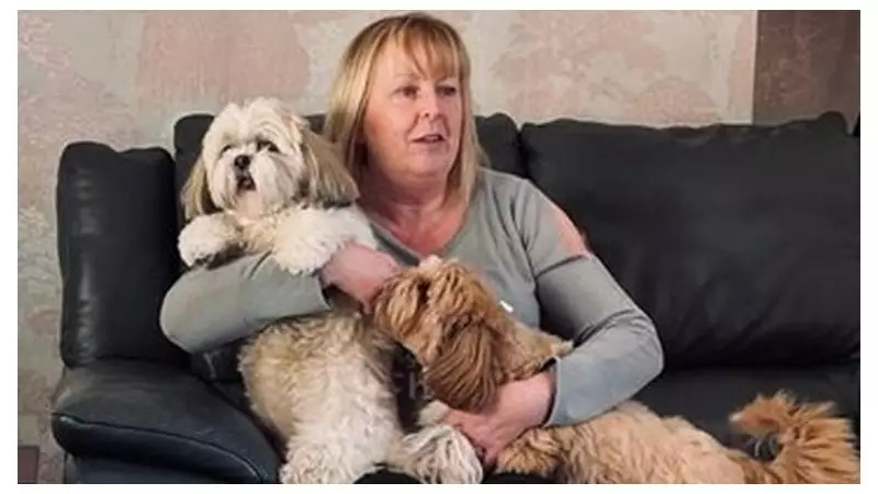 Driver Jailed After Fatal Crash During Cocaine Comedown