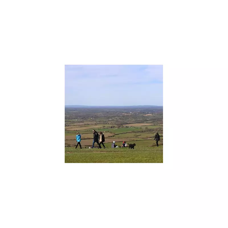 Escape London's Hustle: Discover Virginia Water's Magical Autumn Walk