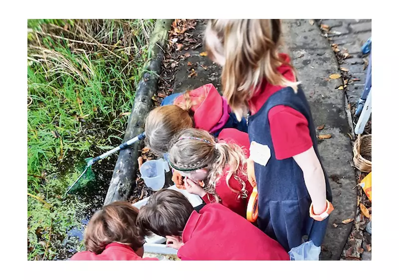 Frogspawn Shortage Hits Islington: Local Amphibians Face Population Crisis