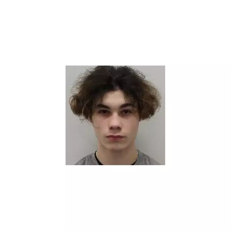 Harry Pitman Murder: First Image of Teenager Charged with New Year's Eve Killing on Primrose Hill