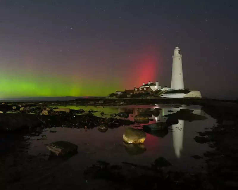 Nature's Spectacle: Majestic Stag and Aurora Borealis Steal the Show in Daily Photo Roundup