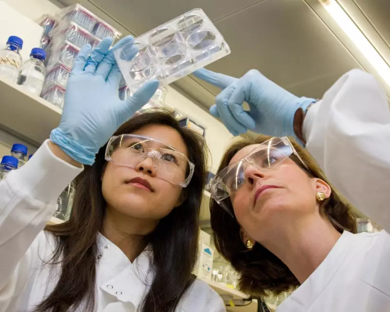 Patients Face Treatment Delays as UK Government and Pharma Giants Clash Over Drug Prices