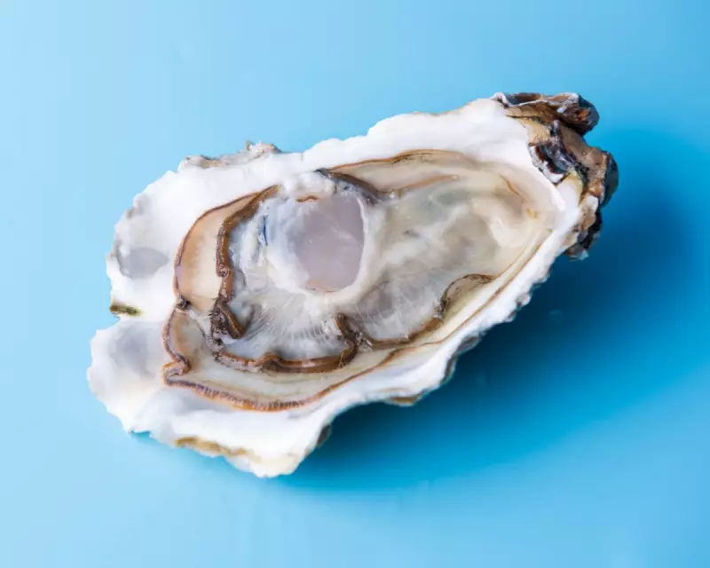 The Oyster That Broke the Party: How a Single Seafood Scandal Sunk the Liberal Democrats