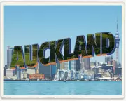 Auckland Uncovered: A Local's Guide to the City's Hidden Gems and Must-Do Experiences