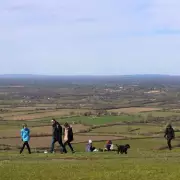 Escape London's Hustle: Discover Virginia Water's Magical Autumn Walk