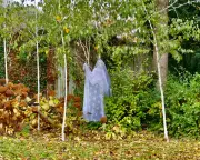 Ghosts Among Us: One in Three English Residents Believe in the Paranormal, Survey Reveals