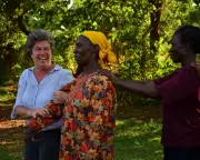 Jane Plastow: A Life That Forged African Theatre Bridges and Transformed Education