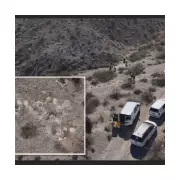 Mystery in the Mojave: 300 Piles of Human Remains Found in Desert Outside Las Vegas