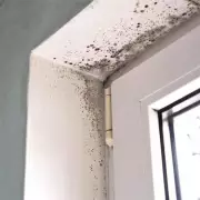 South London Borough Crowned Among UK's Best Councils for Housing Delivery