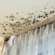 South London Council Faces Scrutiny After Being Named in National Child Exploitation Report