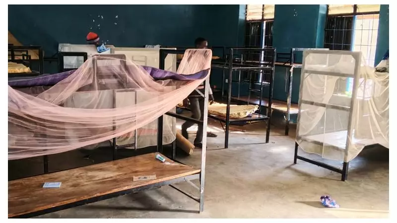 50 Nigerian Schoolchildren Escape Mass Kidnapping as Pope Appeals