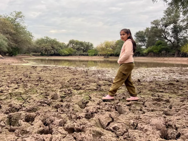 Argentina's Water Crisis: Arsenic Levels 60x Safe Limit Poison Rural Families