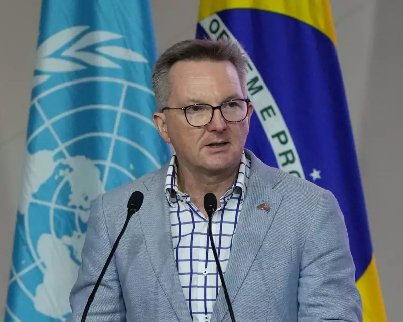 Australia's Cop31 Bid Fails But Yields Unexpected Climate Negotiation Role