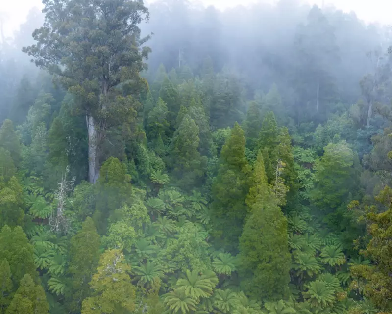 Australia's New Nature Laws: 7 Key Changes to Environmental Protection