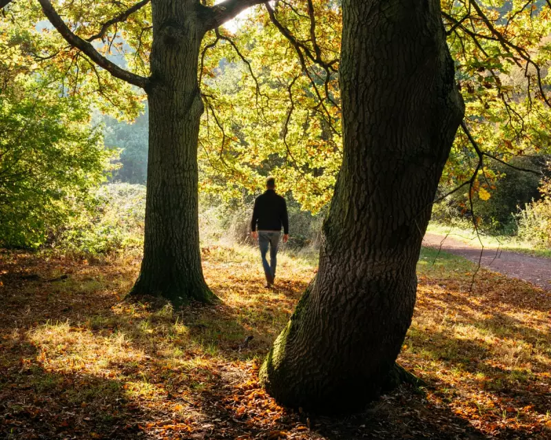 Britain Ranks Among World's Least Nature-Connected Nations, Study Reveals