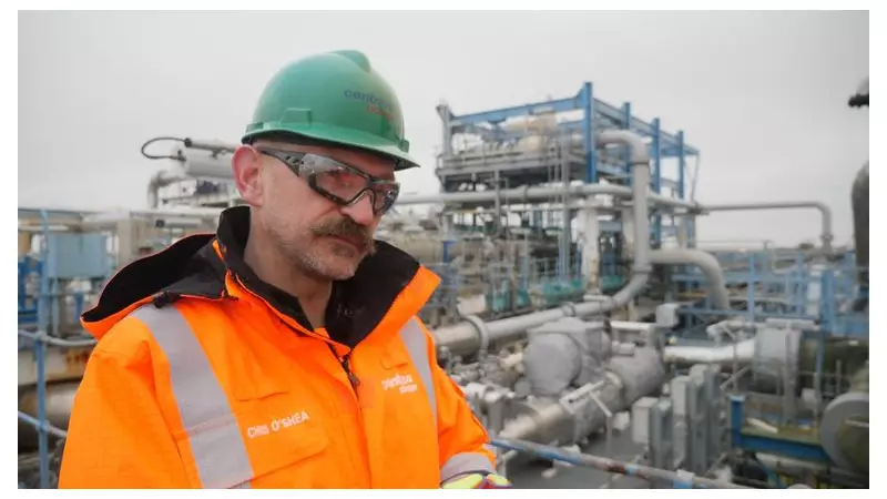 British Gas Boss Backs Tax Shift to Cut Energy Bills by £200