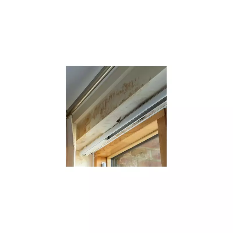 Camden Council slammed after 10 failed leak repairs cause ceiling collapse