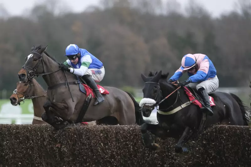 Cheltenham November Meeting: 3 Expert Tips for Friday & Saturday