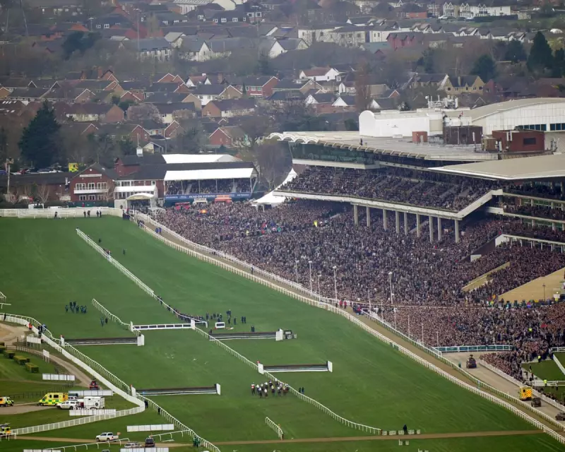 Cheltenham's November Meeting: The True Start of Jump Racing Season