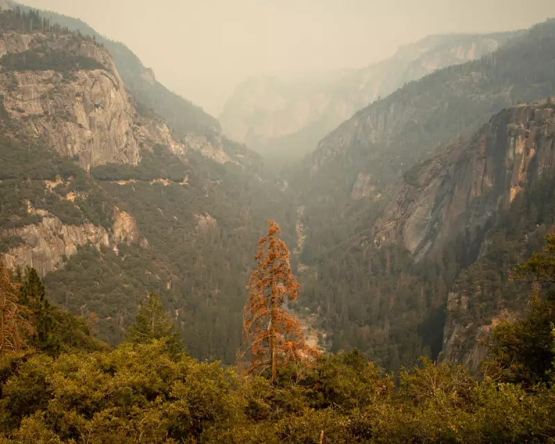 Climate Crisis Personal Stories: How Americans Are Living With Change