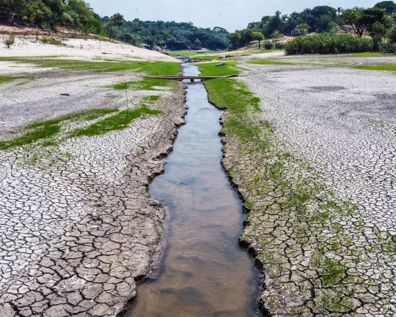 Climate Hope: Scientists Reveal We Can Still Salvage 1.5°C Goal - Here's How