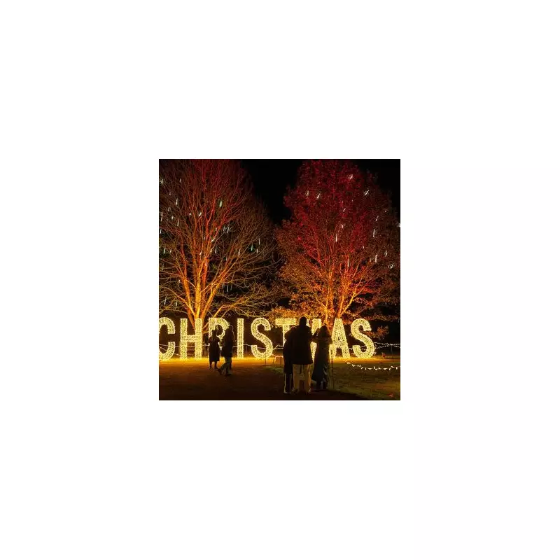 Completely Reimagined Christmas Lights Trail Returns Near London