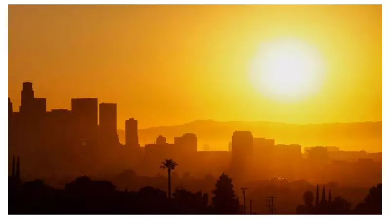 COP30: Three Decades of Climate Talks - Progress or Hot Air?