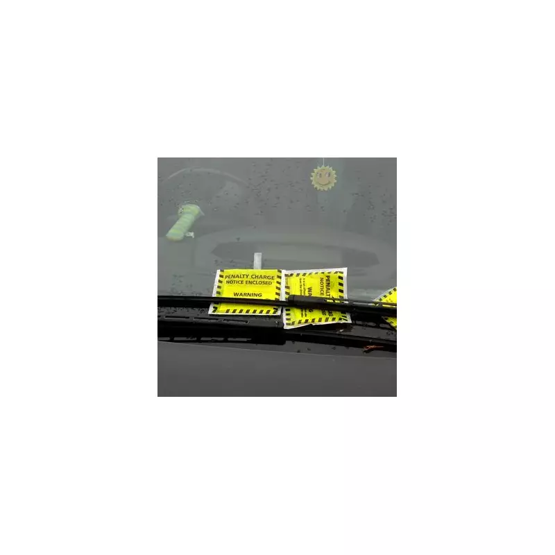 Croydon Council Owed £1.1m in Unpaid Parking Fines from Top Offenders