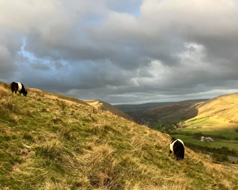 Farming's Digital Revolution: How Remote Control Technology is Transforming British Agriculture