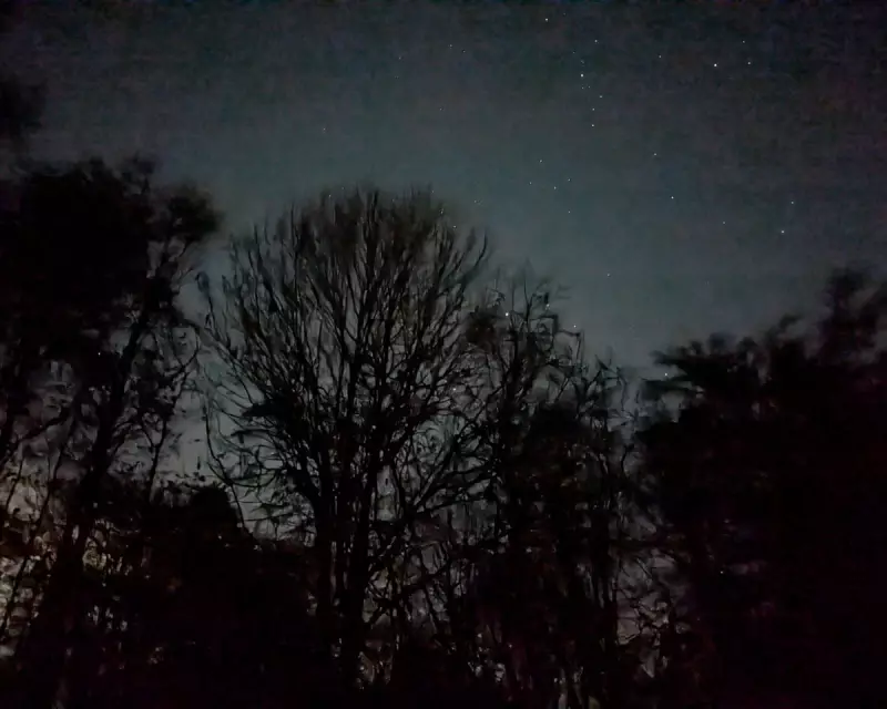 Finding Peace in Hertfordshire's November Darkness