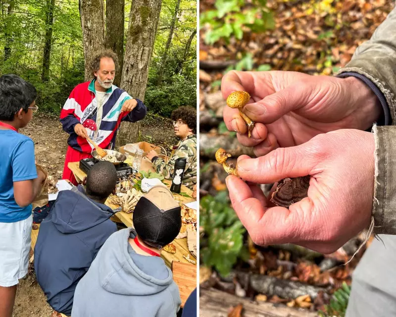 Foraging Schools Thrive in Asheville as Wild Food Demand Grows