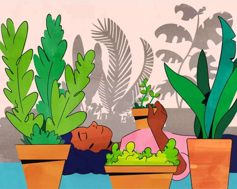 Forget Buying Houseplants: How Plant Swaps Are Revolutionising Indoor Gardening