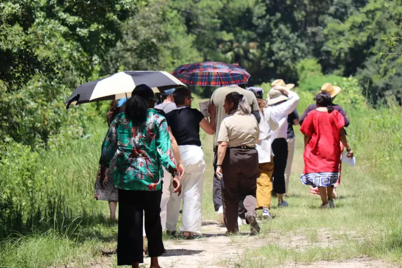 Georgia Harris's Neck Injury Sparks Gullah Geechee Heritage Debate