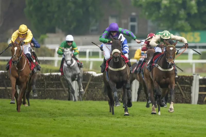 Greatwood Hurdle Tips: Serious Challenge & Rock My Way Eye Cheltenham Glory