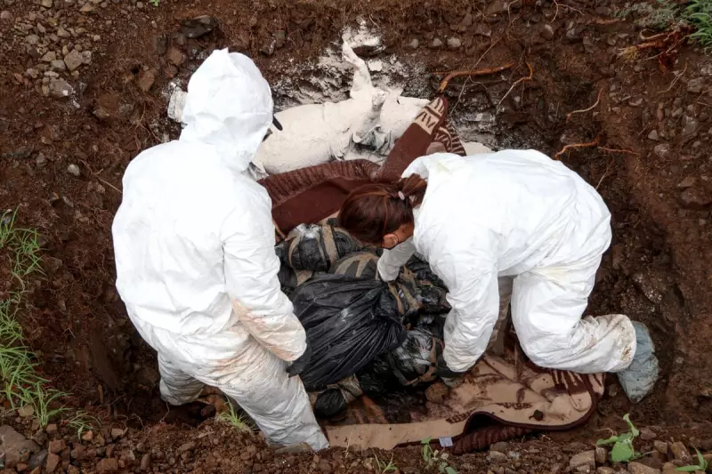 How Dead Pigs and AI Are Helping Find Mexico's 100,000 Missing