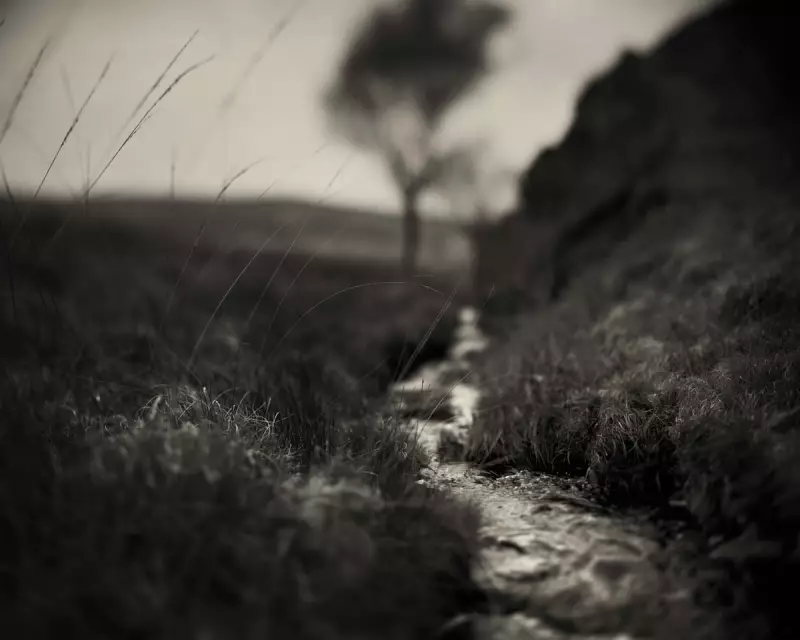 Inside George Orwell's Jura Writing Retreat: Where 1984 Came to Life