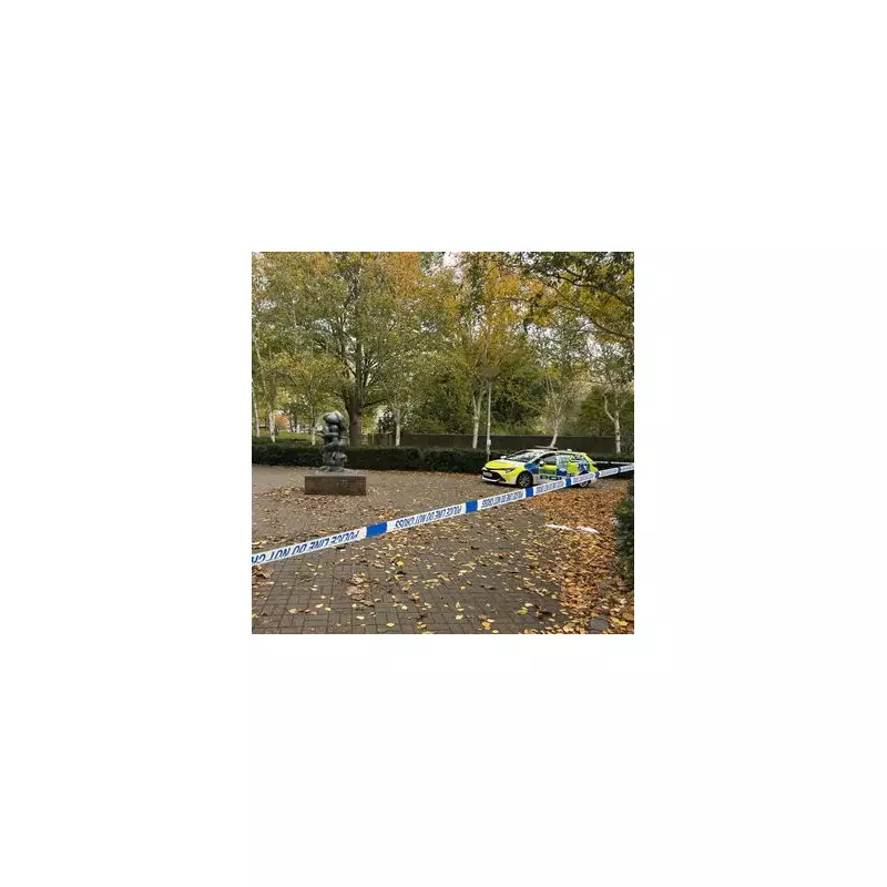 Islington Park Stabbing: Young Woman Attacked in North London Green Space