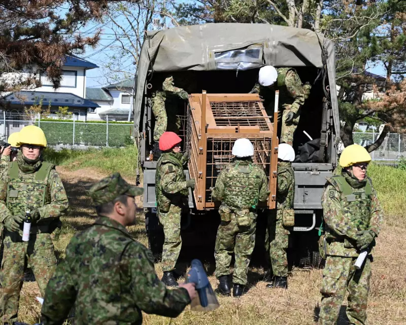 Japan Deploys Military to Combat Rampant Bear Attacks in Northern Region