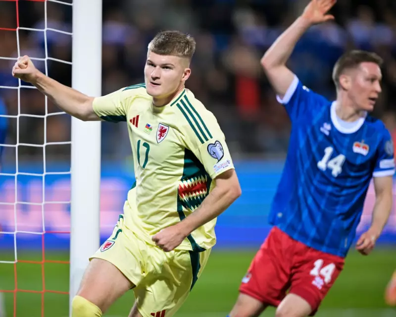 Jordan James Strike Seals Vital 1-0 World Cup Qualifier Win for Wales