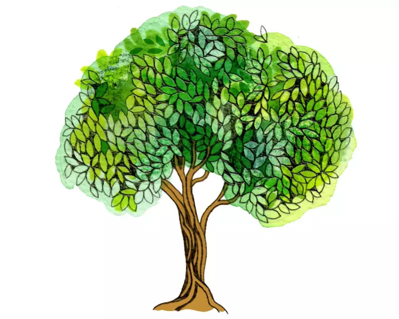 Kids' Quiz: How Many Trees Do We Cut Daily for Paper?