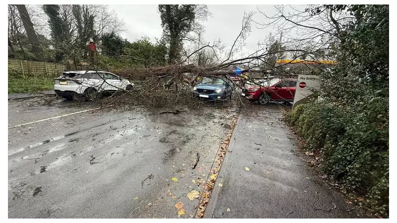 Major Incident in Wales as Flooding and Cold Weather Alert Hit UK
