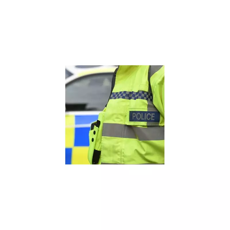 Man, 38, arrested in NI over London hit-and-run leaving woman fighting for life