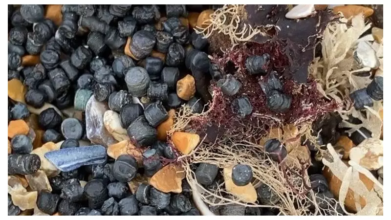 Millions of Plastic Beads Create 'Environmental Catastrophe' at Camber Sands