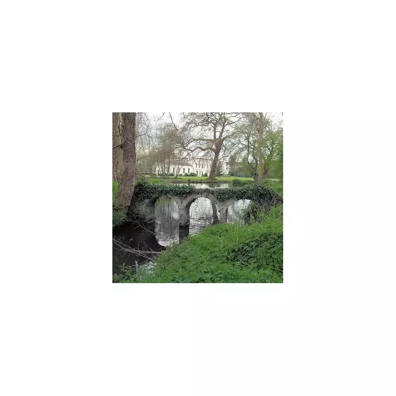 Morden Hall Park: A Free South London Oasis with Gardens & Café