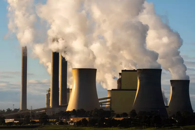 Net Zero Backlash: How Fossil Fuel Lobby Threatens Climate Progress