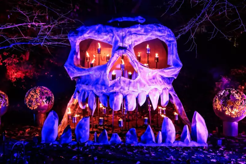 Neverland at Kenwood: London's First Peter Pan Light Trail Opens