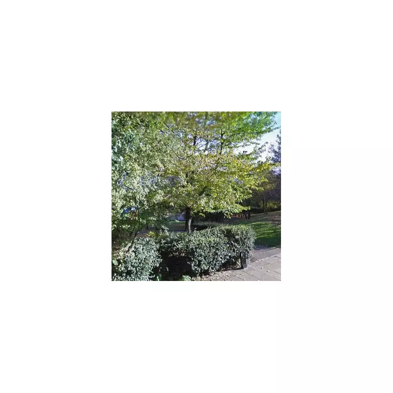 North London Heroine Fights Off Attacker in Daylight Ambush - Man Arrested