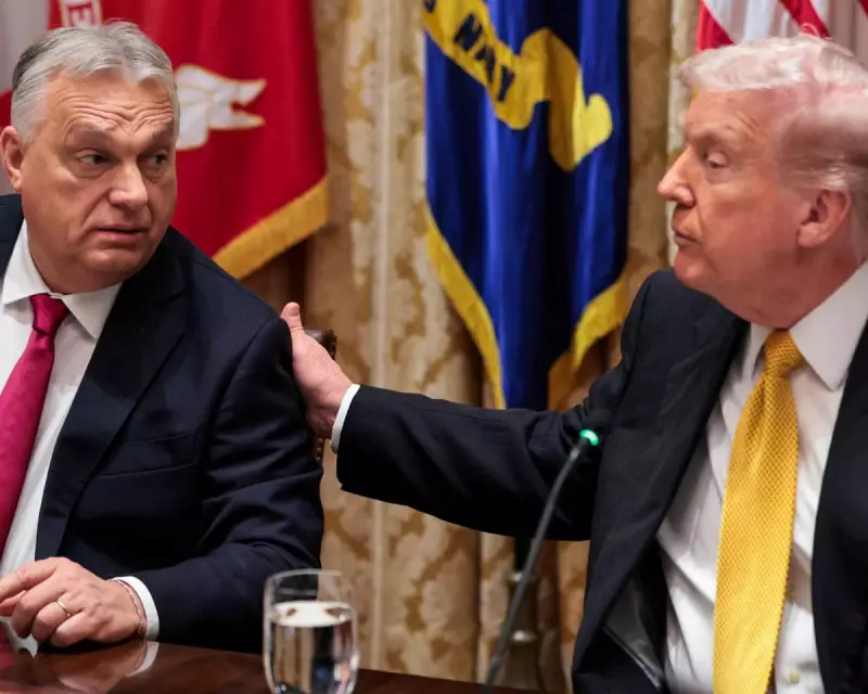 Orbán's Trump Summit Claims Mask Growing Doubts Over His Power Grip