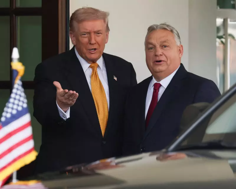 Orbán's White House Flattery: Seeking Trump's Favour on Russia Sanctions